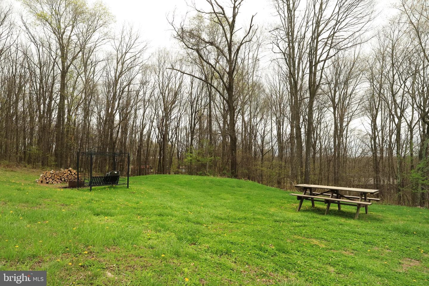 690 Gypsy Camp Hollow Road photo 27
