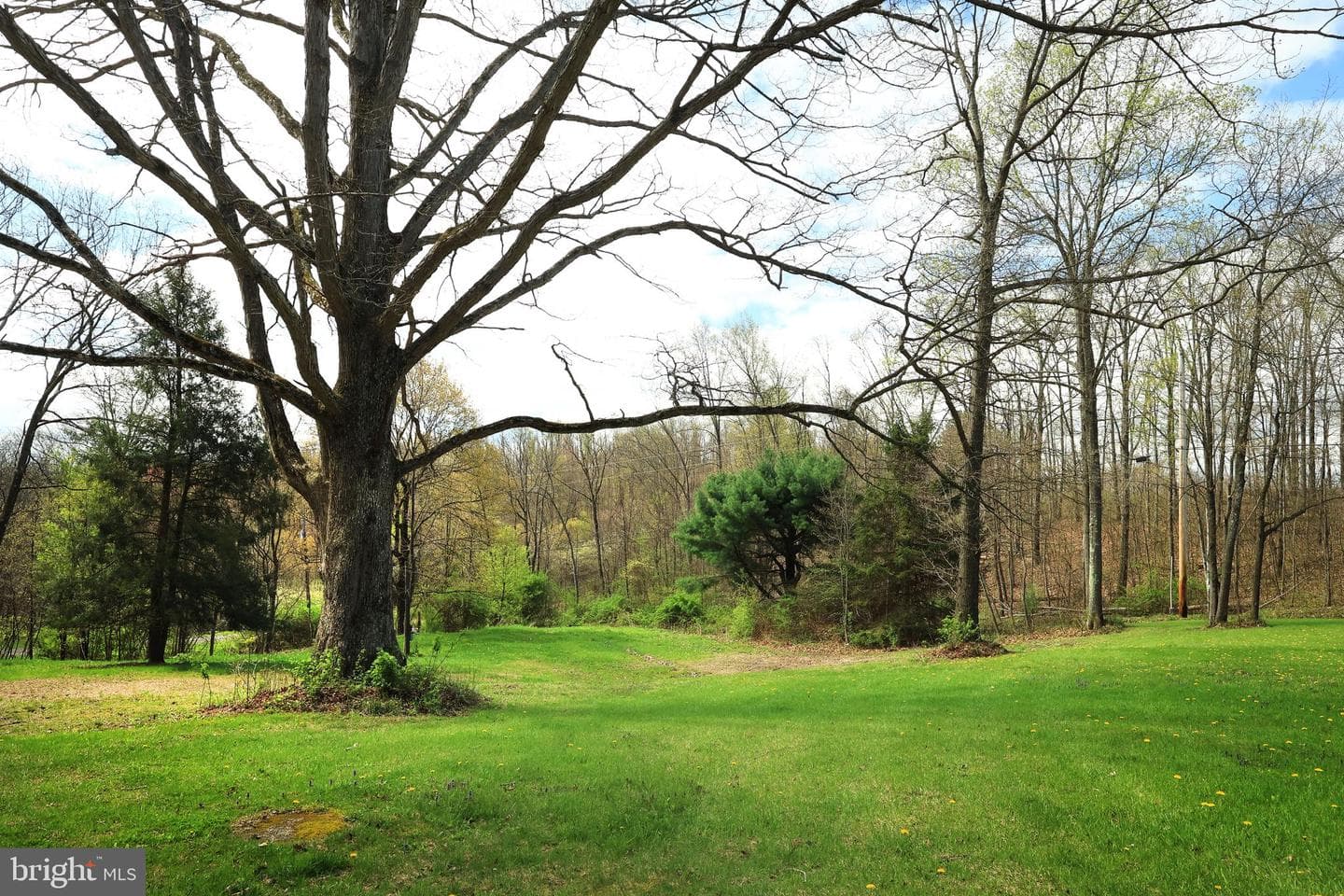 690 Gypsy Camp Hollow Road photo 30
