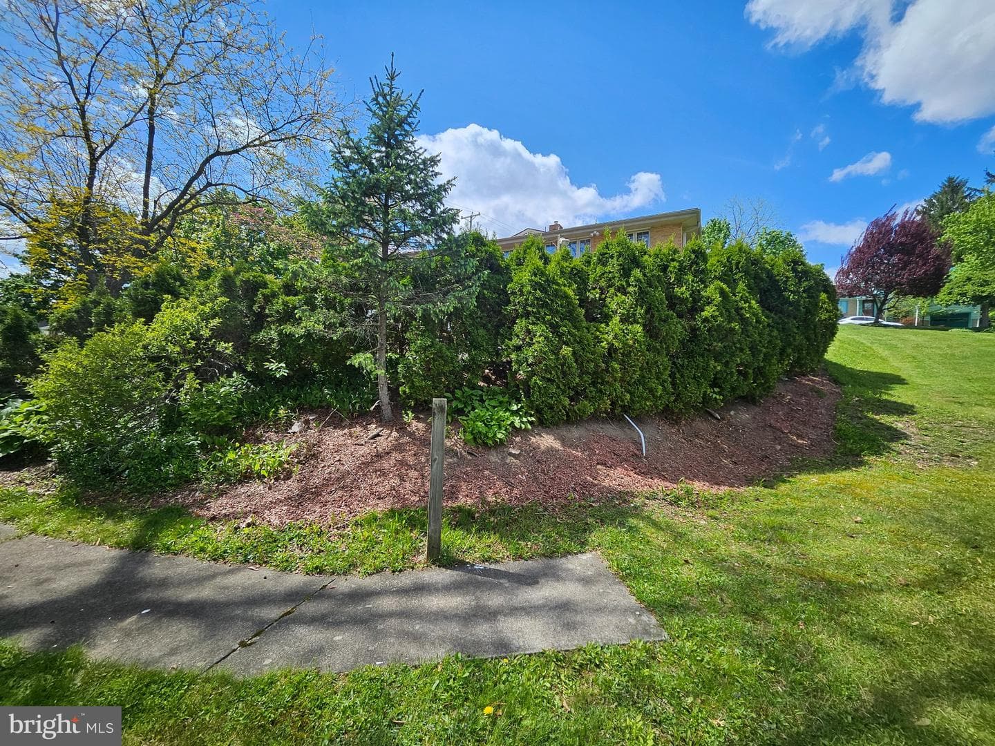 2217 16th Avenue photo 6