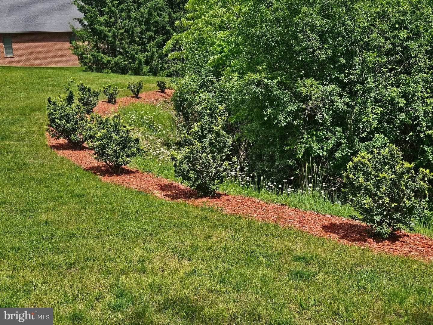 105 Paddock Circle photo 4