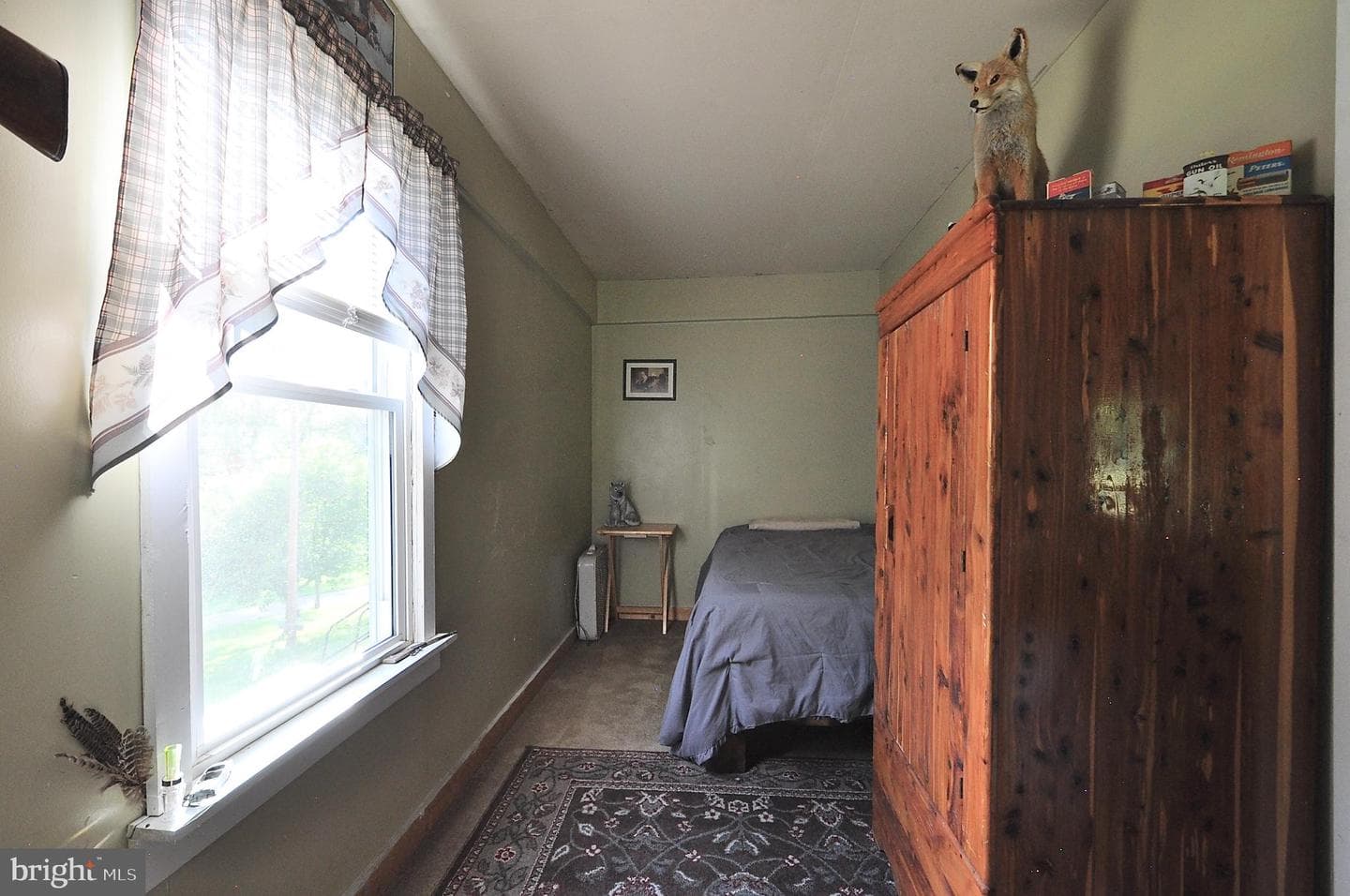 231 Bear Ridge photo 11