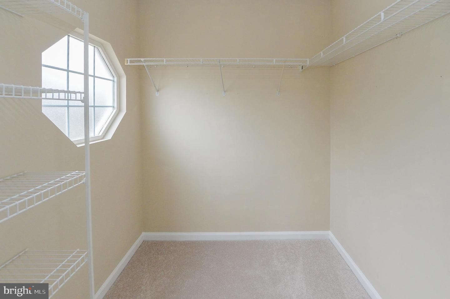 1150 Bridle Path Drive photo 19