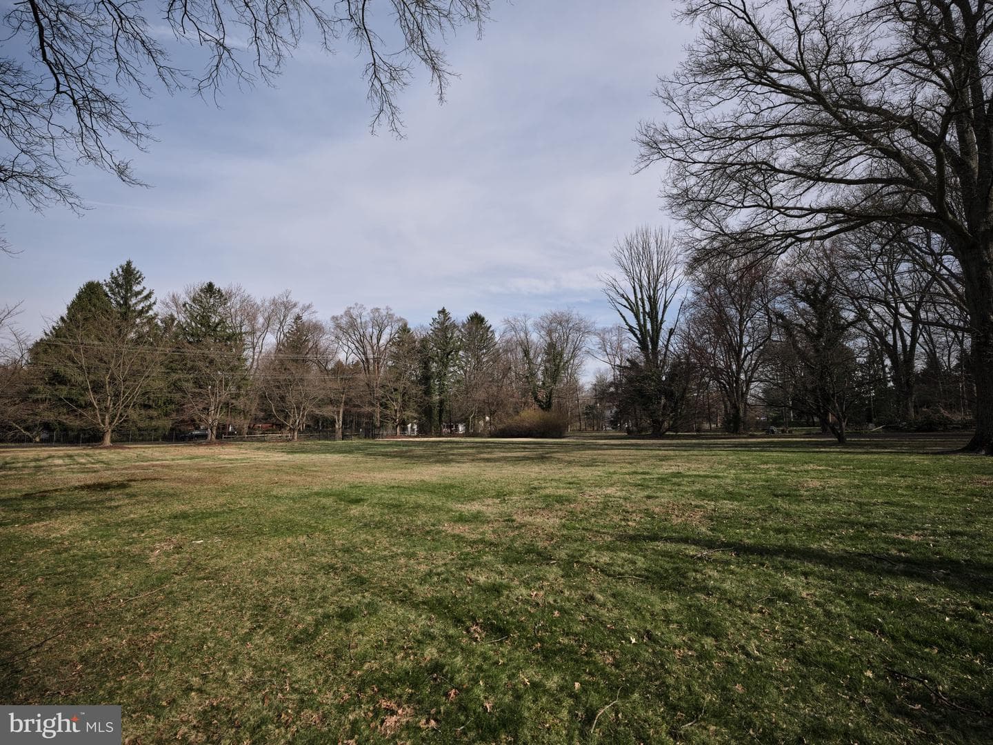 77 Cherry Lane photo 5