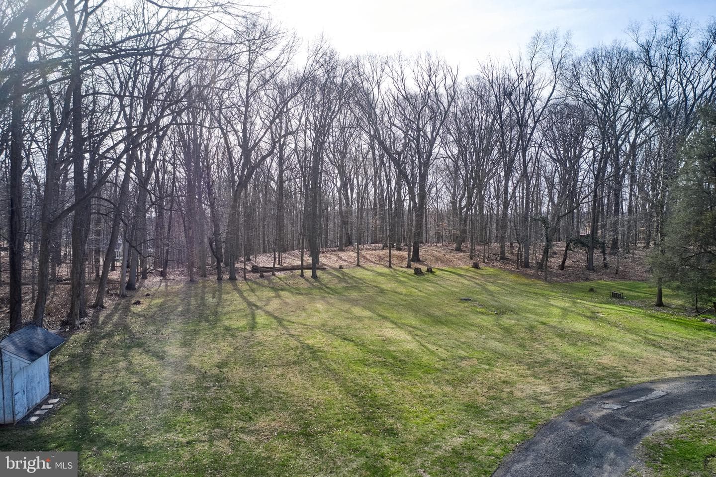 77 Cherry Lane photo 7
