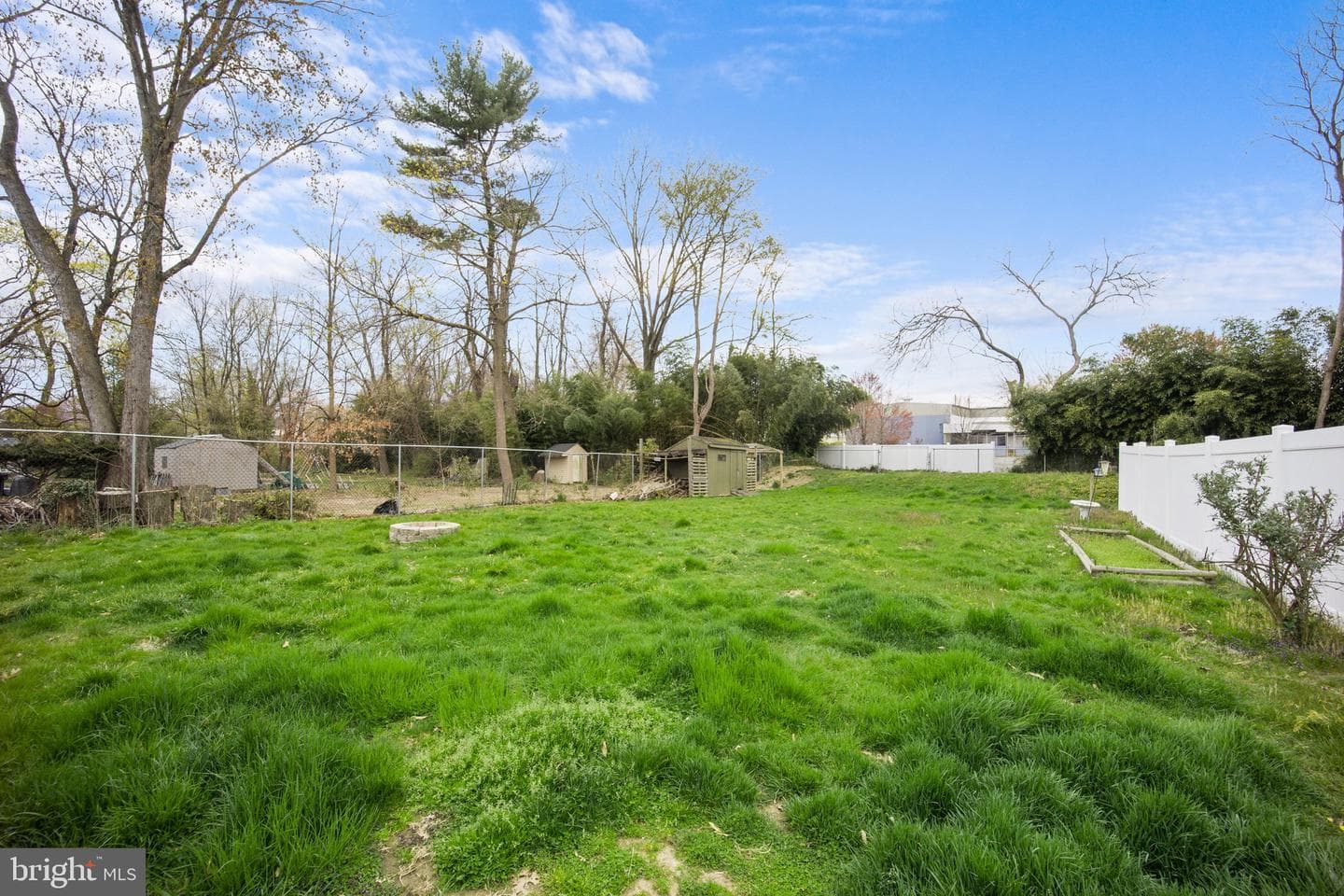 55 Ash Avenue photo 32
