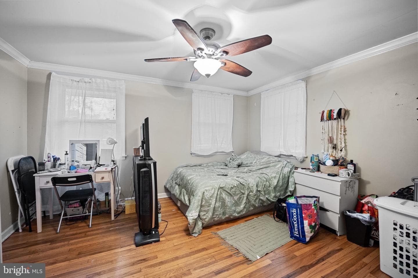 55 Ash Avenue photo 7