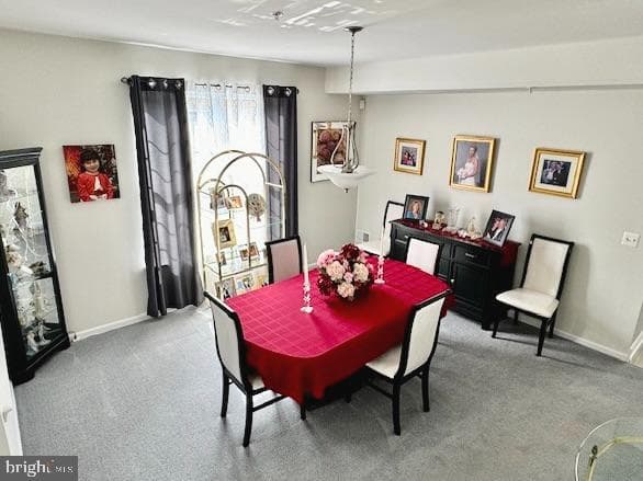 1212 Scott Place photo 13