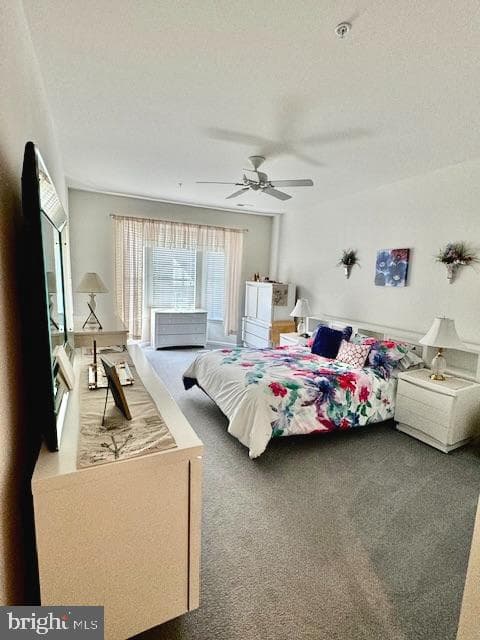 1212 Scott Place photo 16