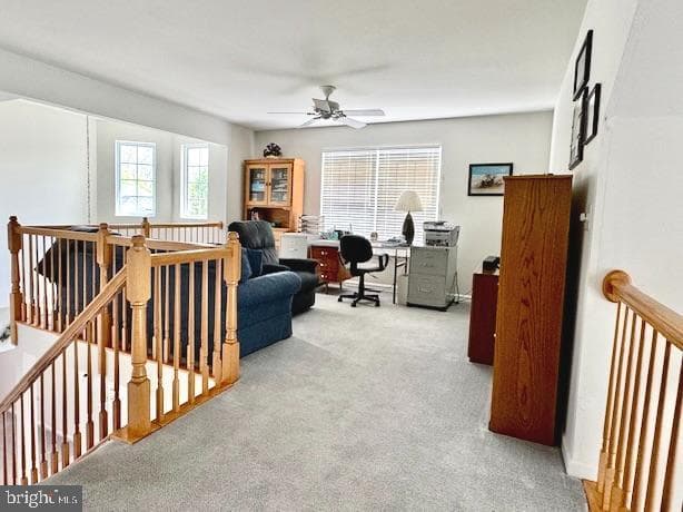 1212 Scott Place photo 19