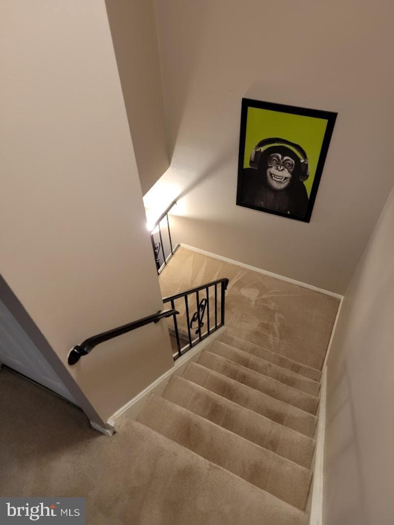427 Brandywine Court photo 15