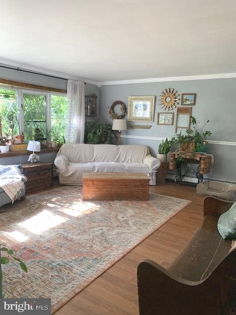 236 Quincy Drive photo 5