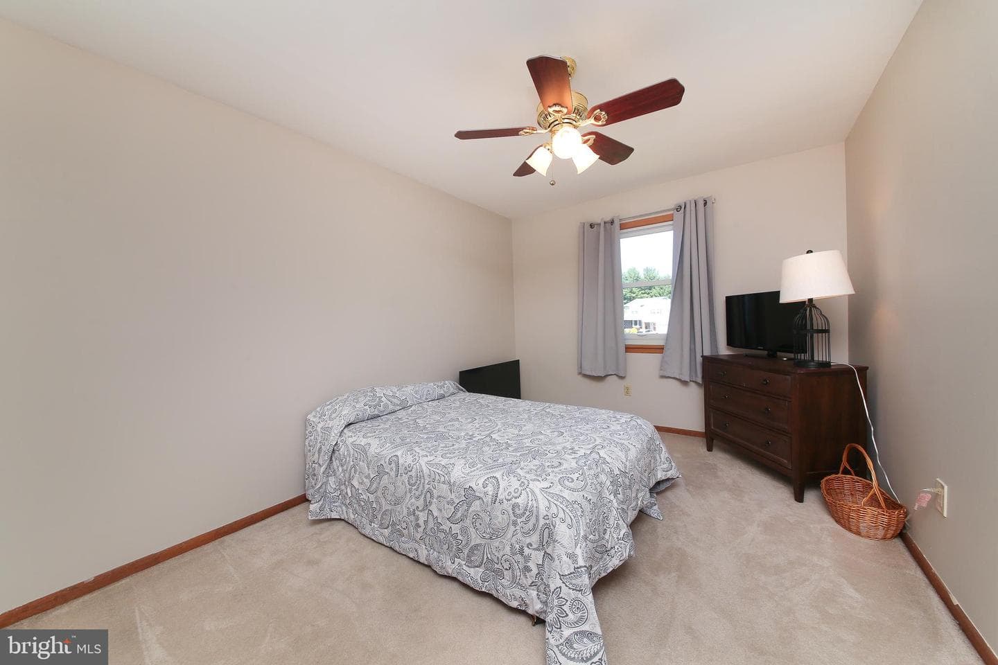 443 Homestead Court photo 20