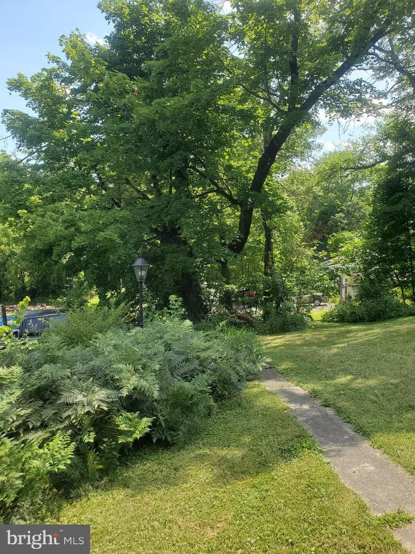 442 Lawn Avenue photo 13
