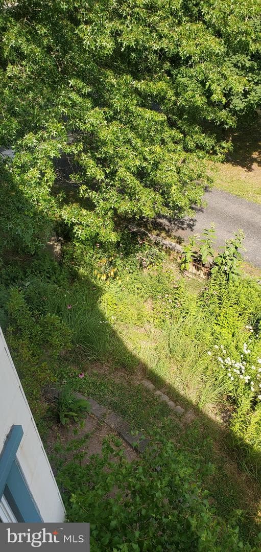 442 Lawn Avenue photo 27
