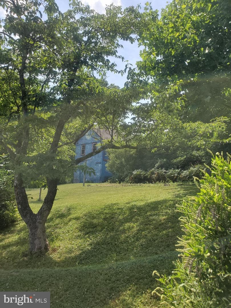 442 Lawn Avenue photo 8