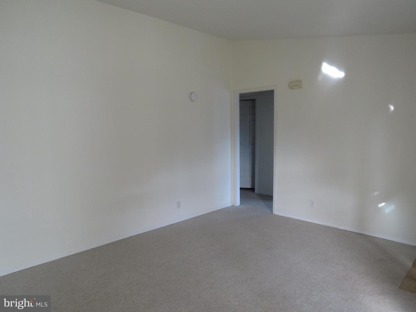 410 Redbird Court photo 22
