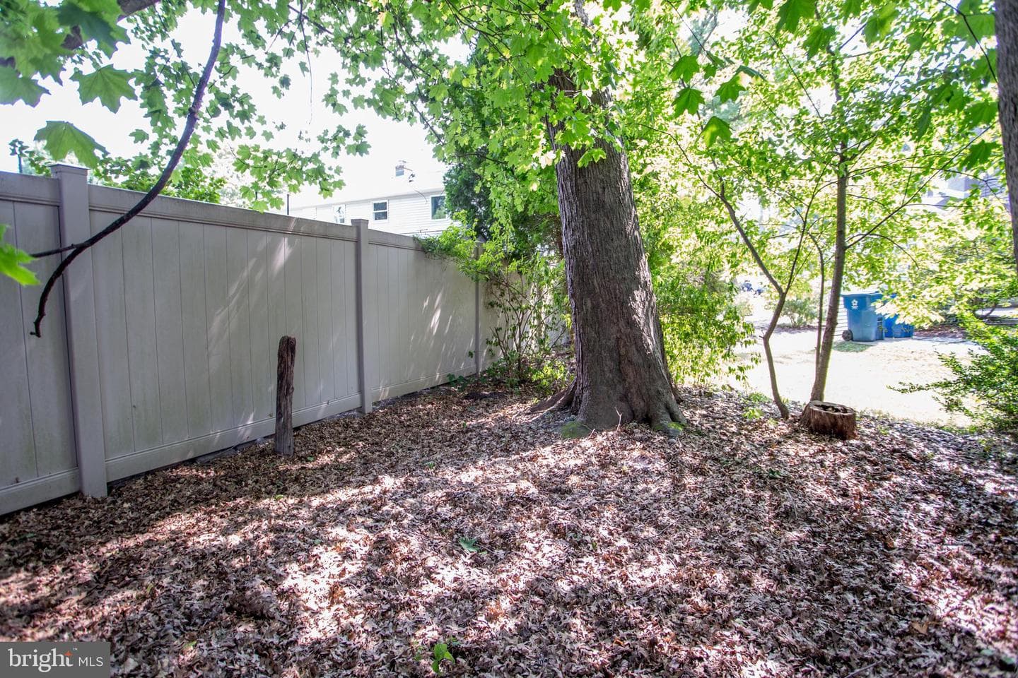 53 Belmont Square photo 29