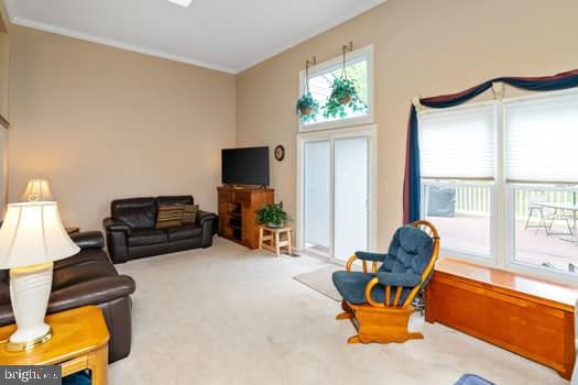 106 Solway Circle photo 12