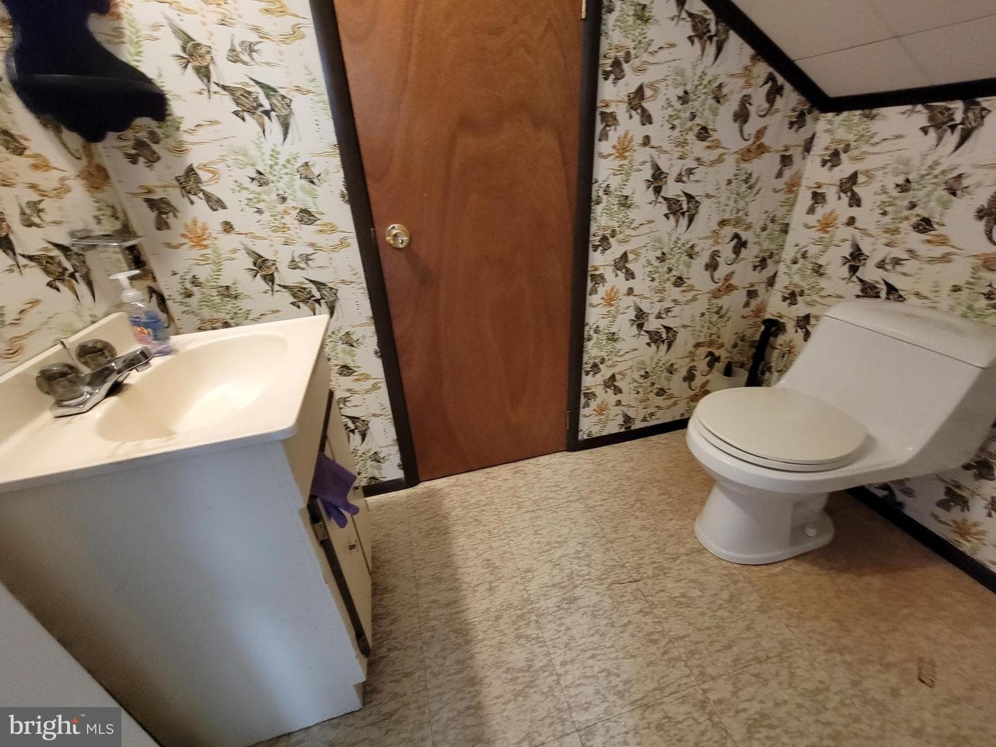 230 Estelle Lane photo 33