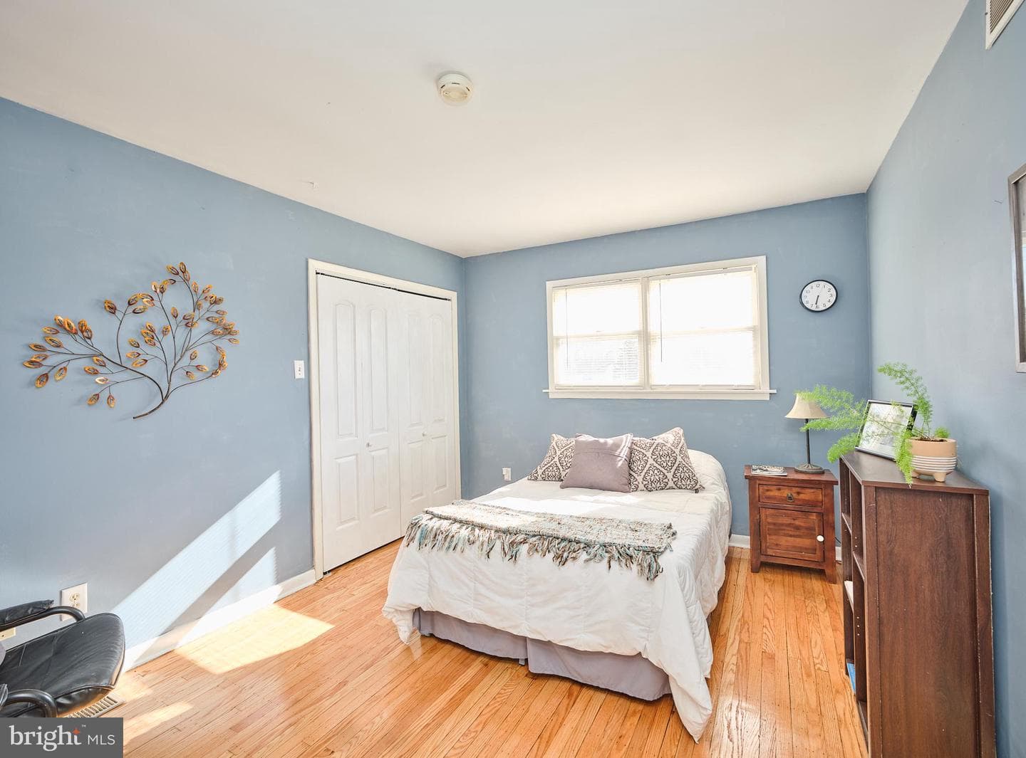 62 Hagan Drive photo 23