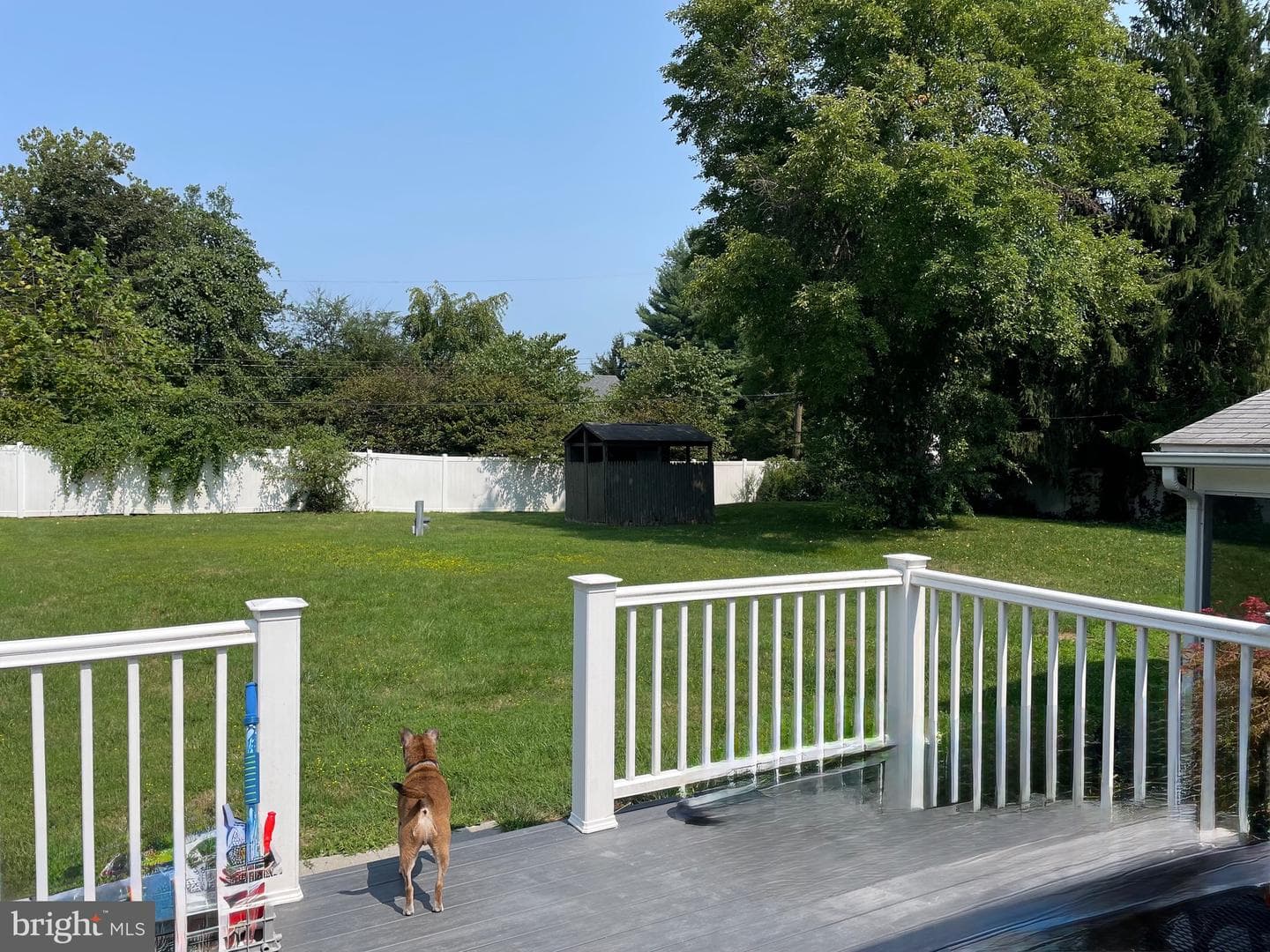 62 Hagan Drive photo 40
