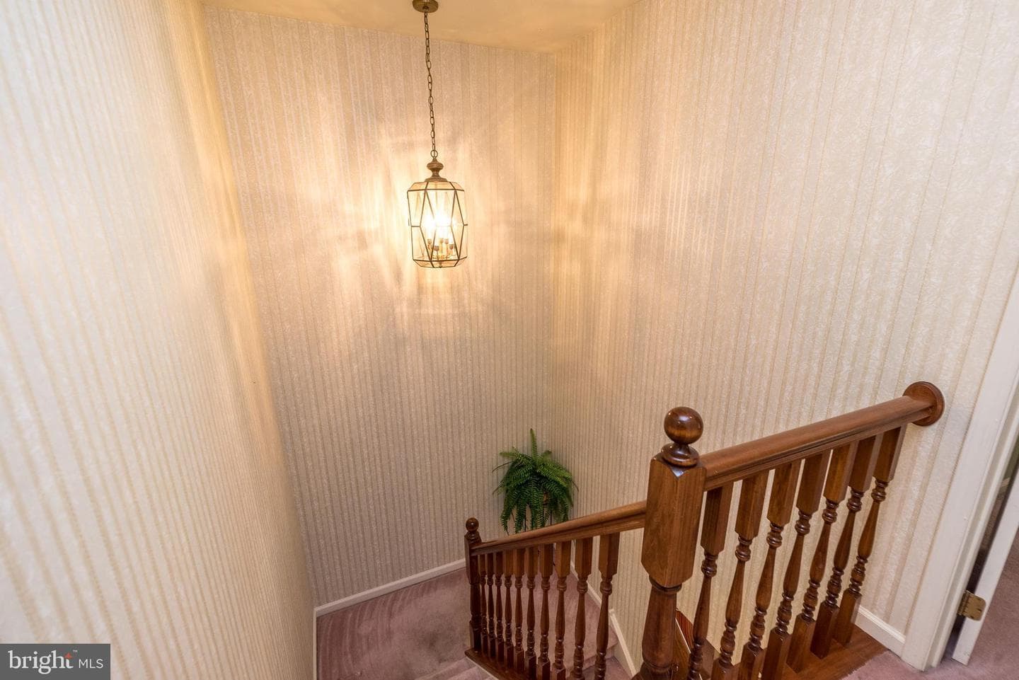 2 Northrup Court photo 28