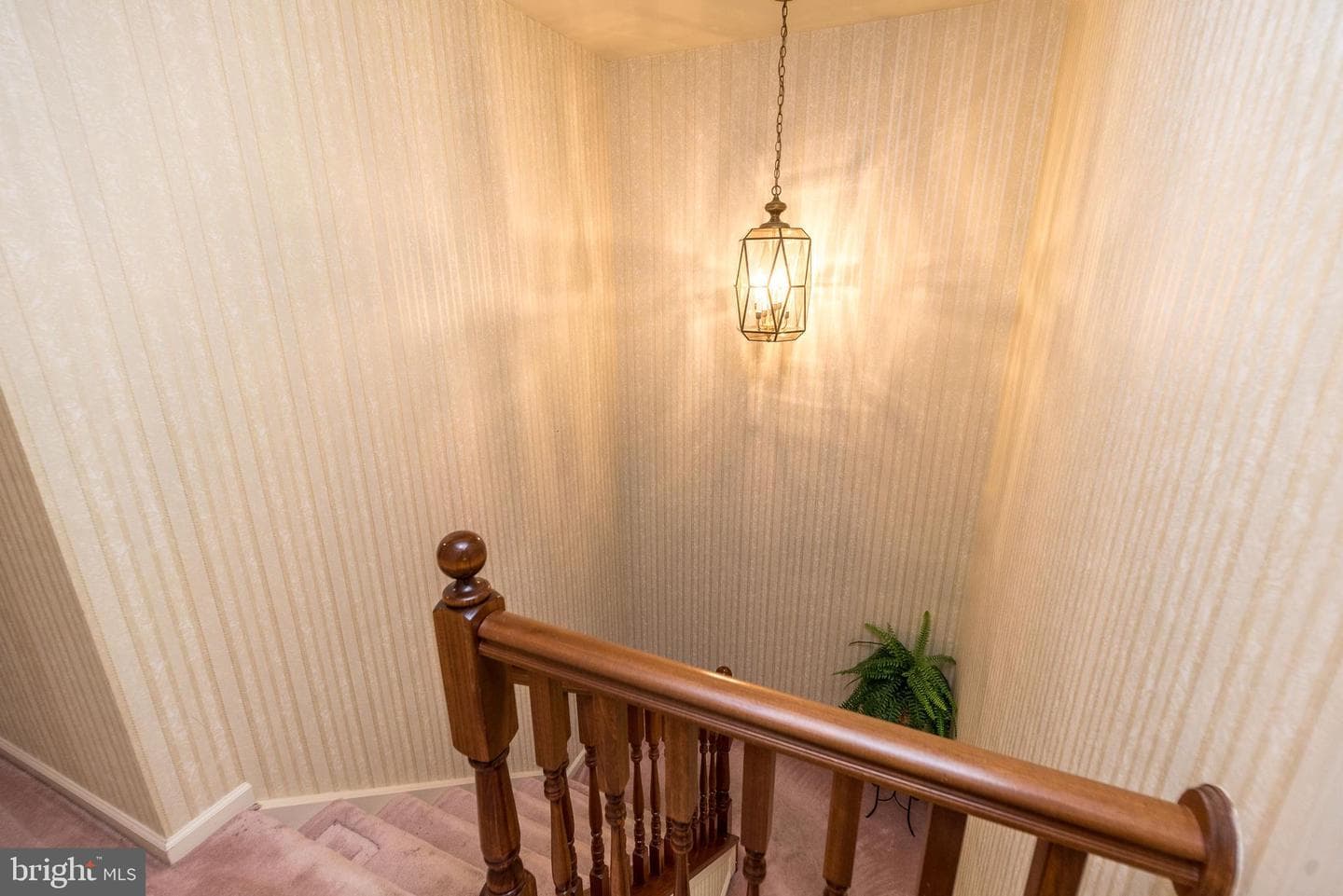 2 Northrup Court photo 40