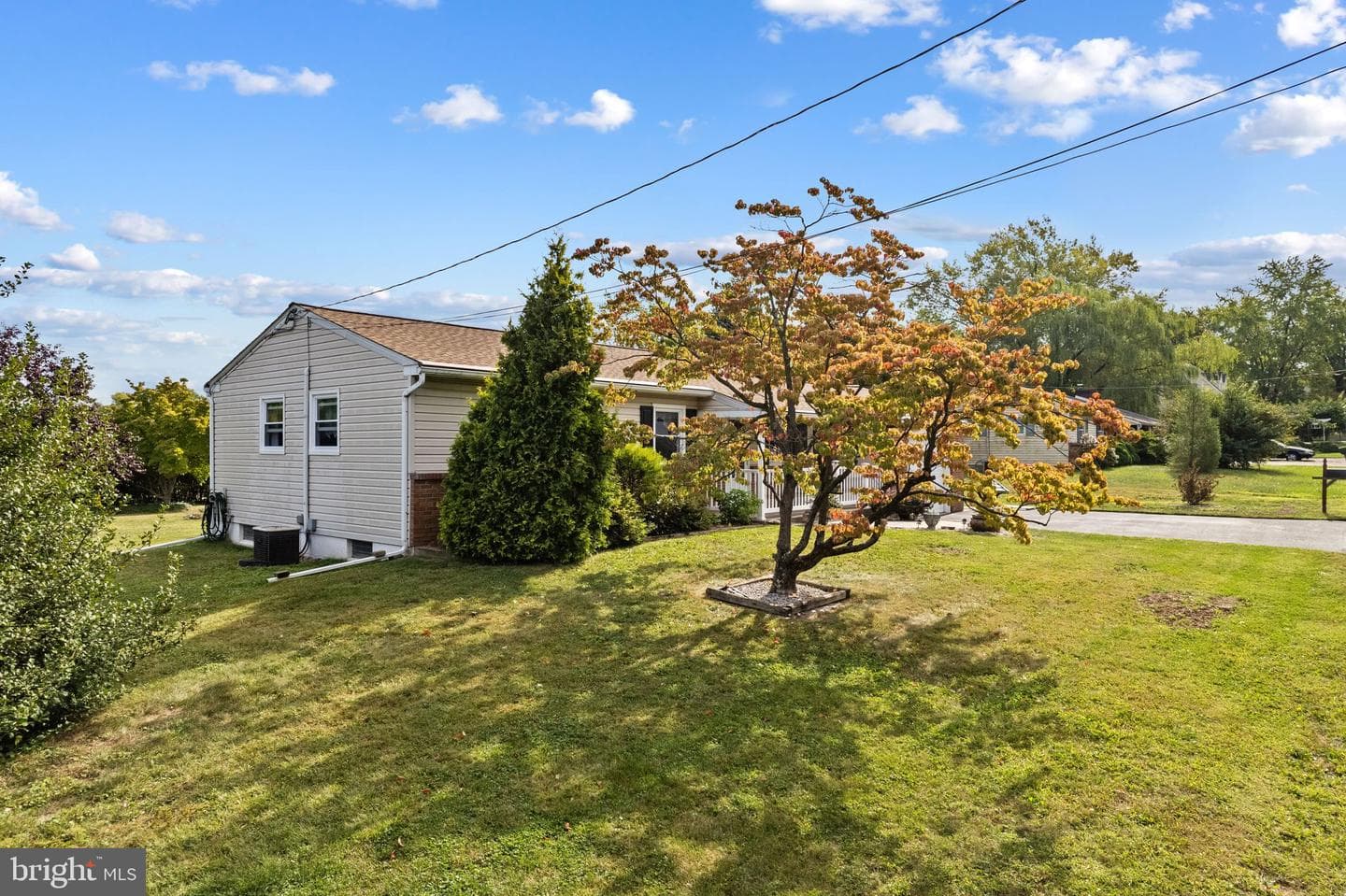 119 Cherry Lane photo 6