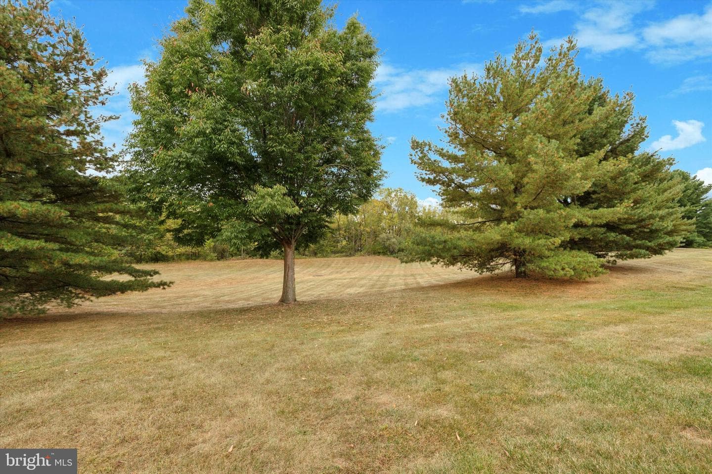 806 Wexford Way #h-2 photo 23