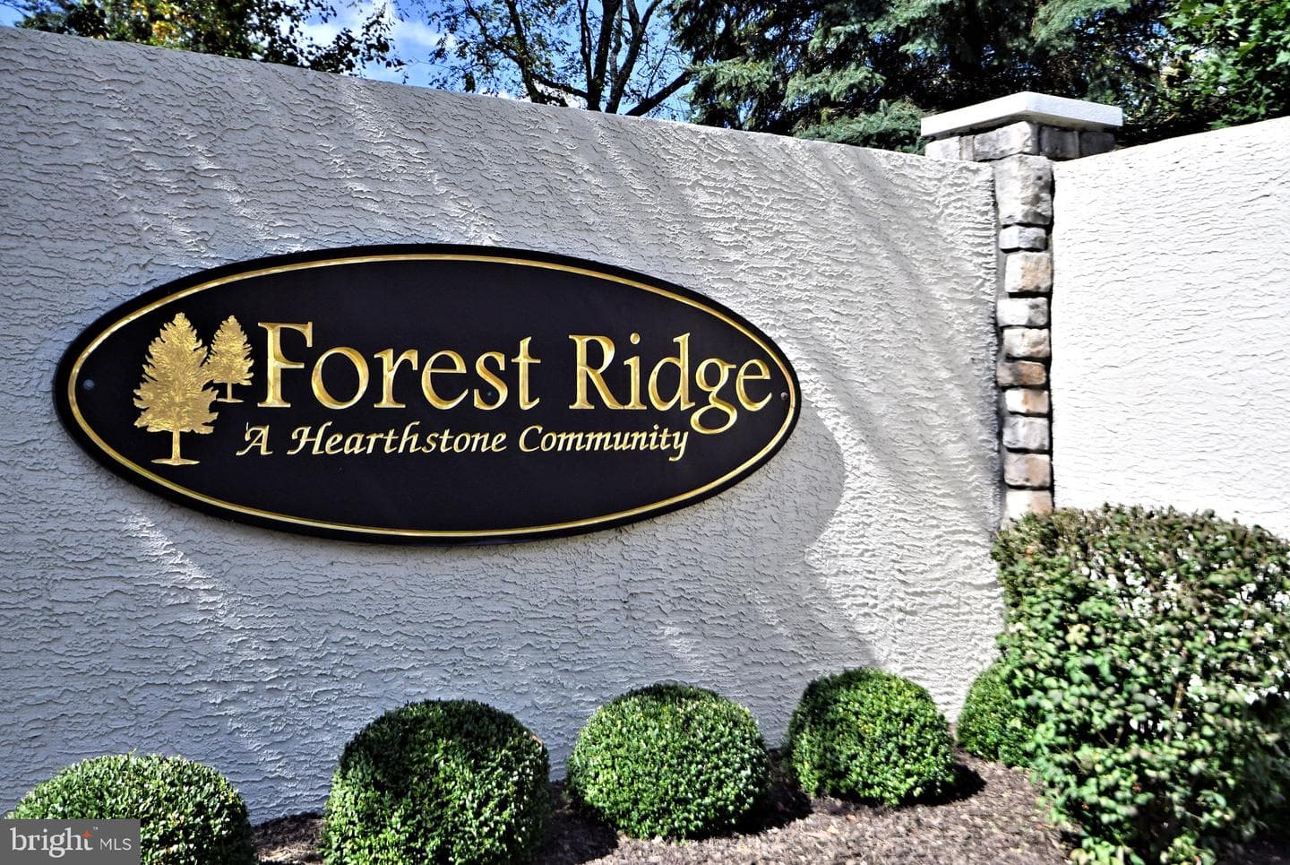 200 Fiddleleaf Lane #303