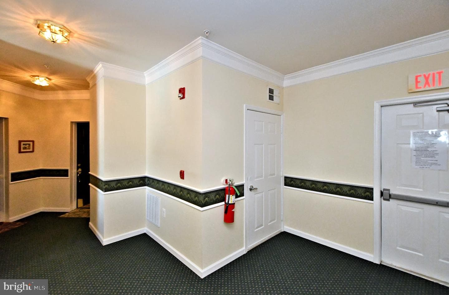 200 Fiddleleaf Lane #303 photo 8