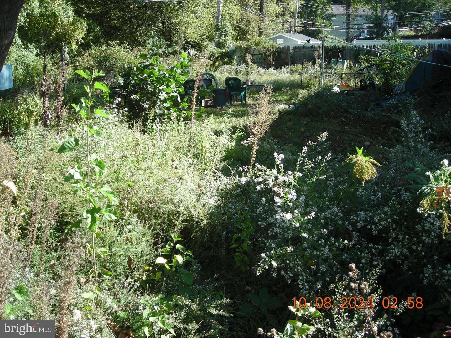 208 Thornridge Drive photo 4