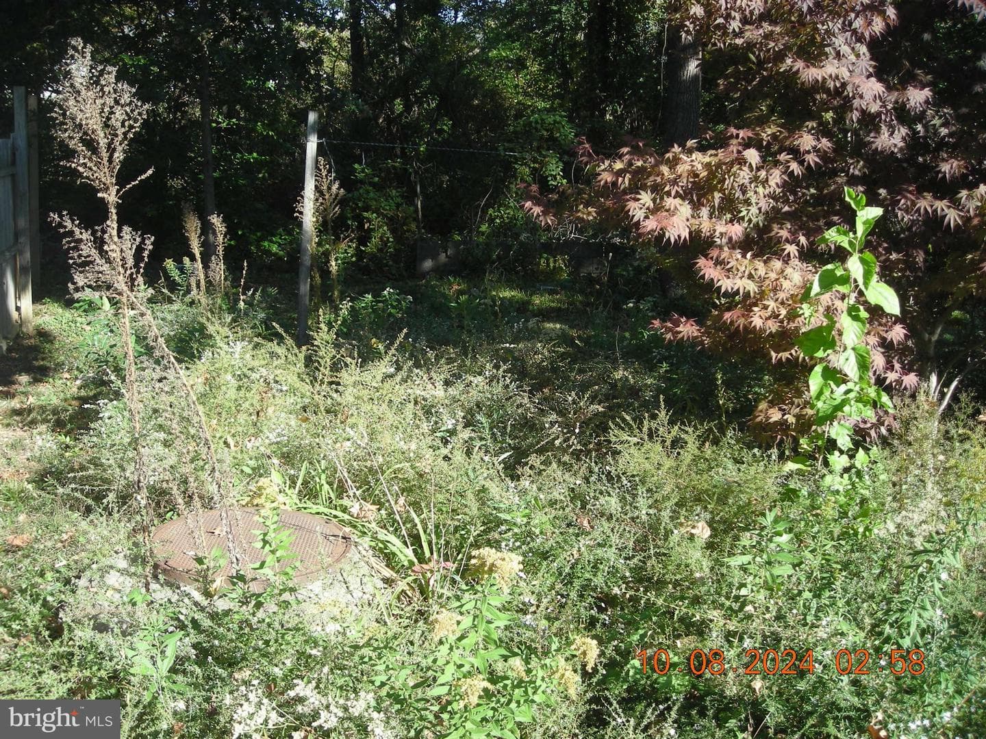 208 Thornridge Drive photo 5
