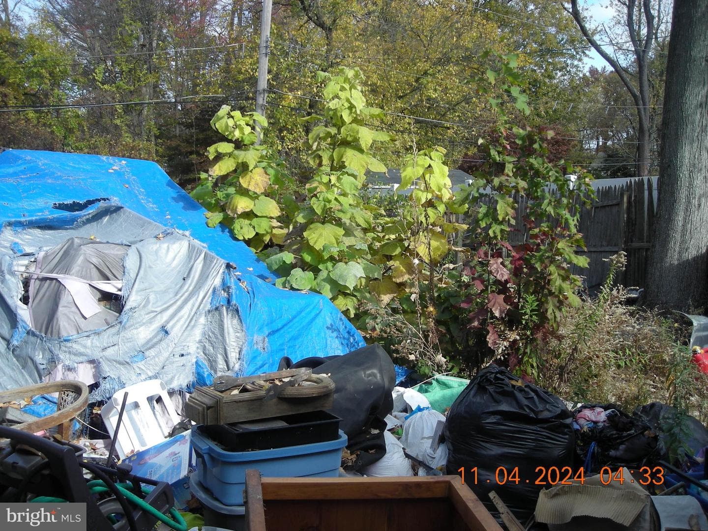 208 Thornridge Drive photo 9