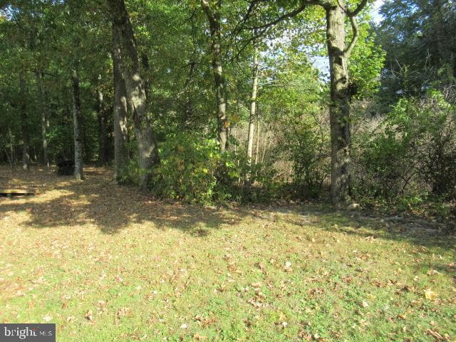 2259 Big Oak Road photo 12
