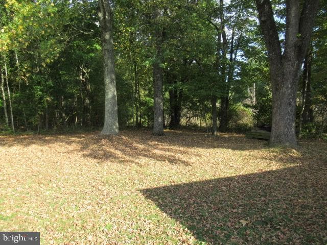 2259 Big Oak Road photo 13