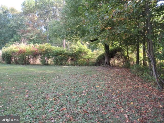 2259 Big Oak Road photo 9