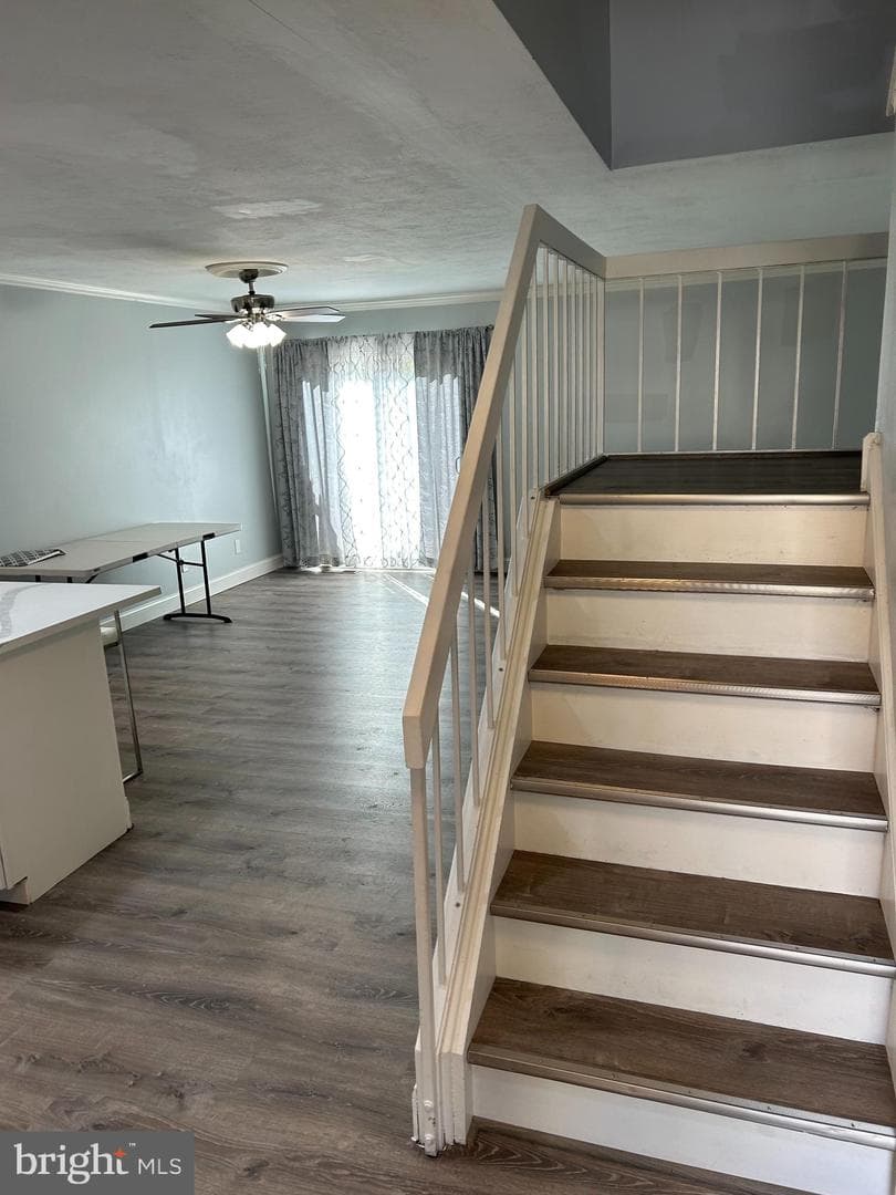 1022 Bancroft Place photo 24