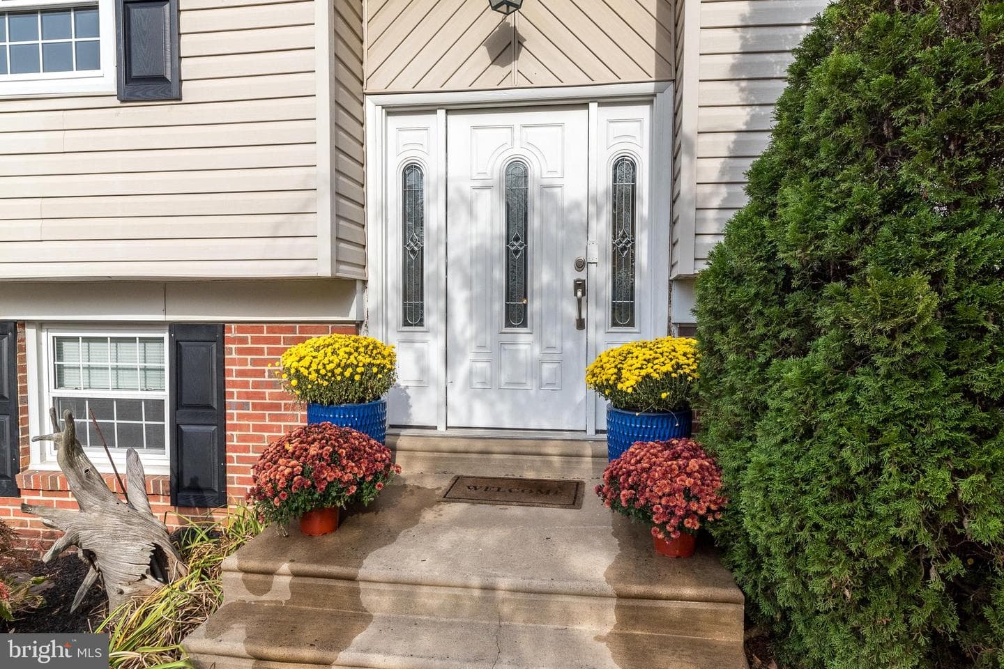 31 N Traymore Avenue photo 3