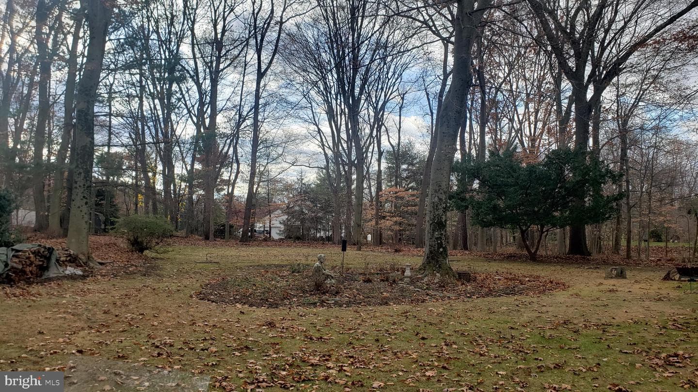 81 Sandywood Drive photo 5