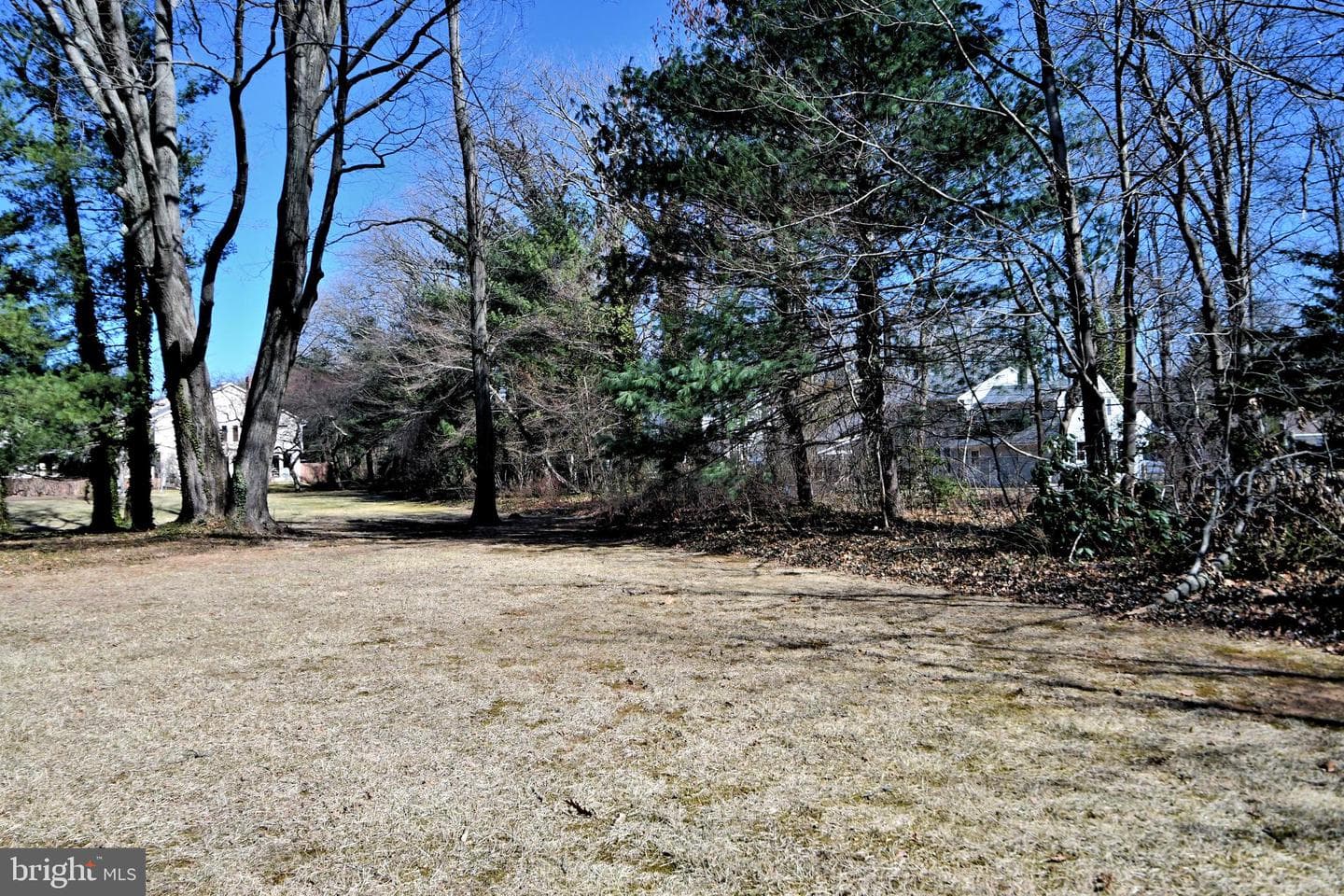 79 Sutphin Pines photo 47