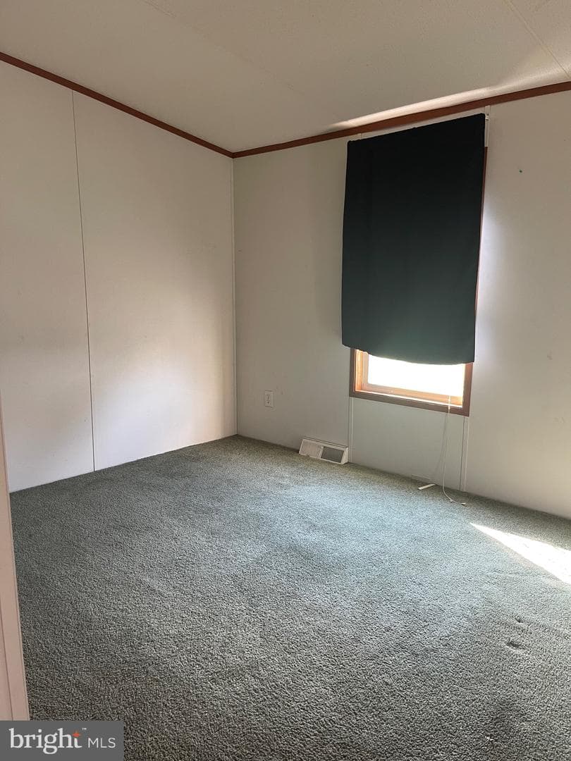 3405 Rose Avenue photo 8