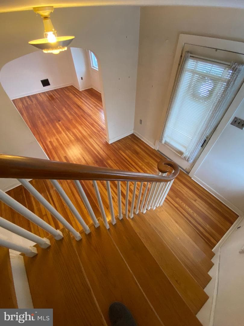 202 Catherine Street photo 20