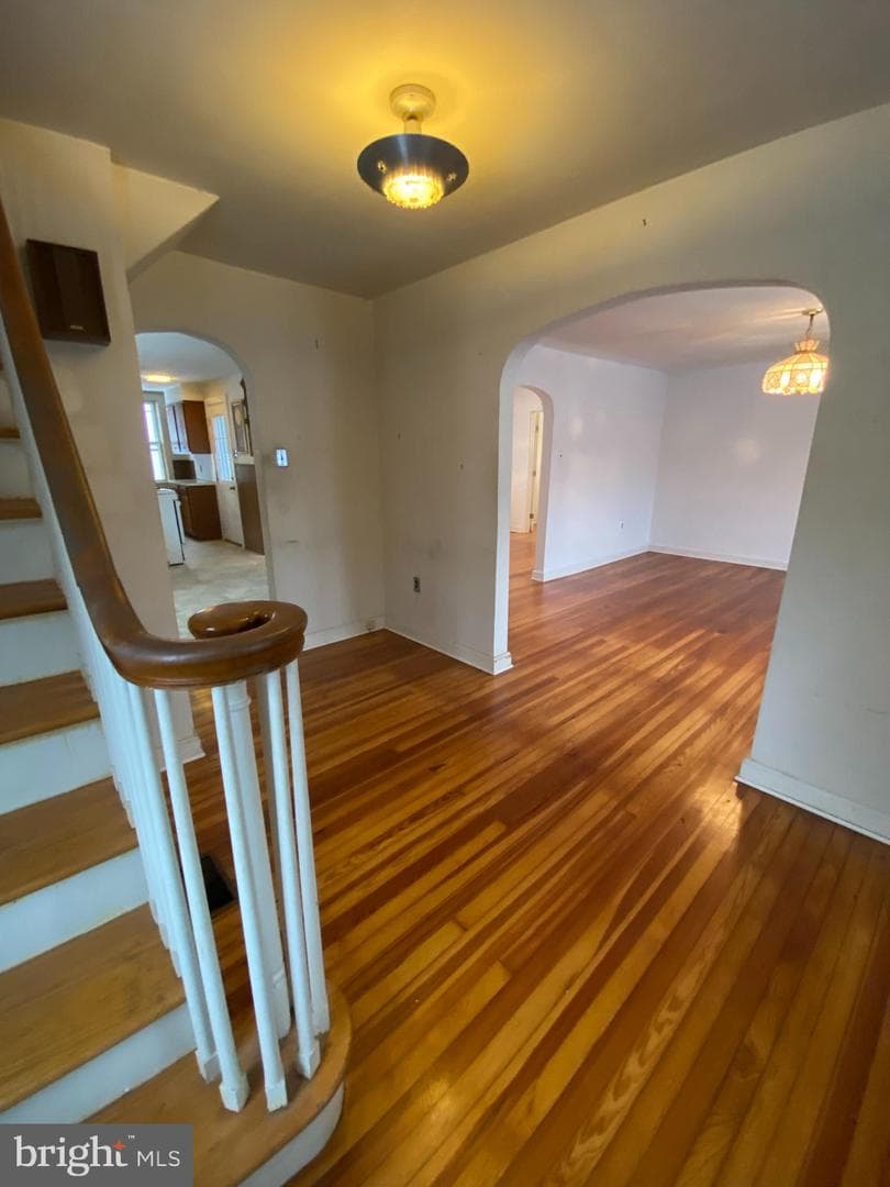202 Catherine Street photo 9