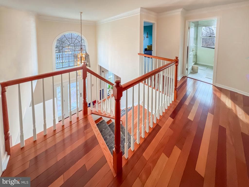1412 Marielle Drive photo 23