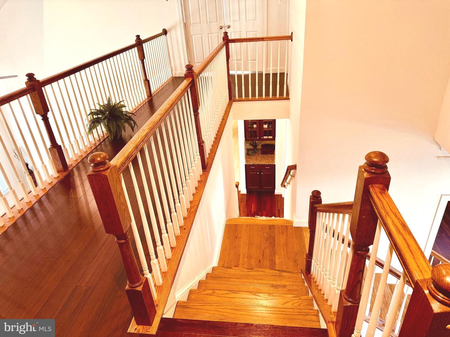 1801 Sycamore Drive photo 54