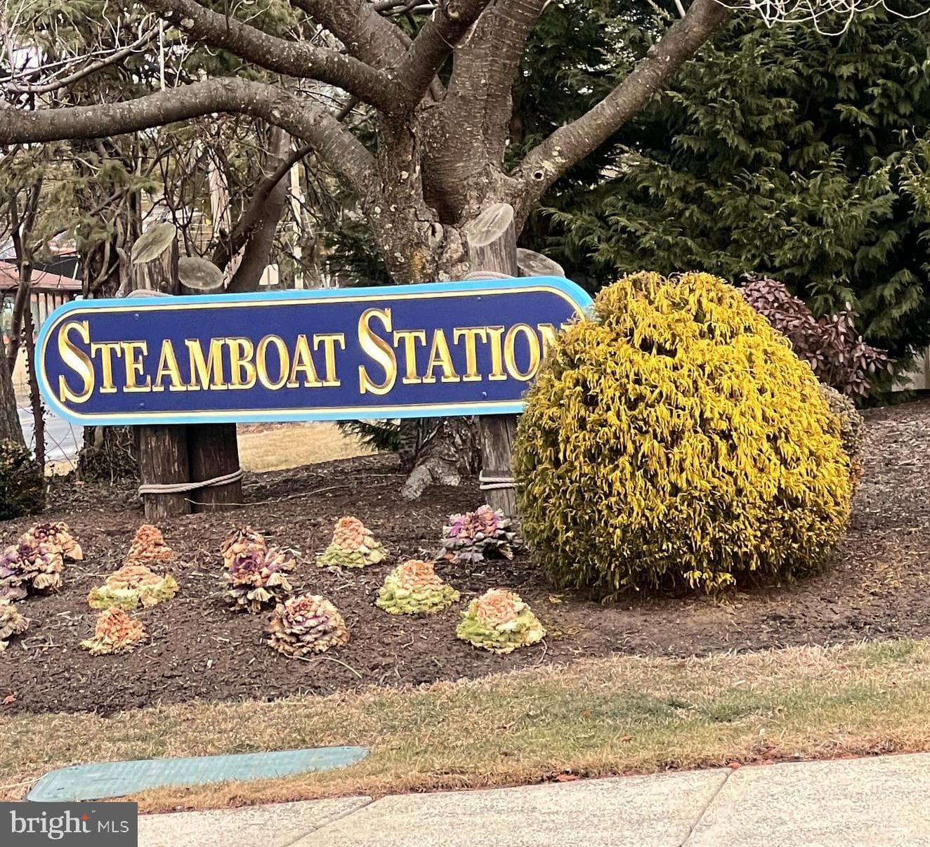 1707 Steamboat Station photo 15
