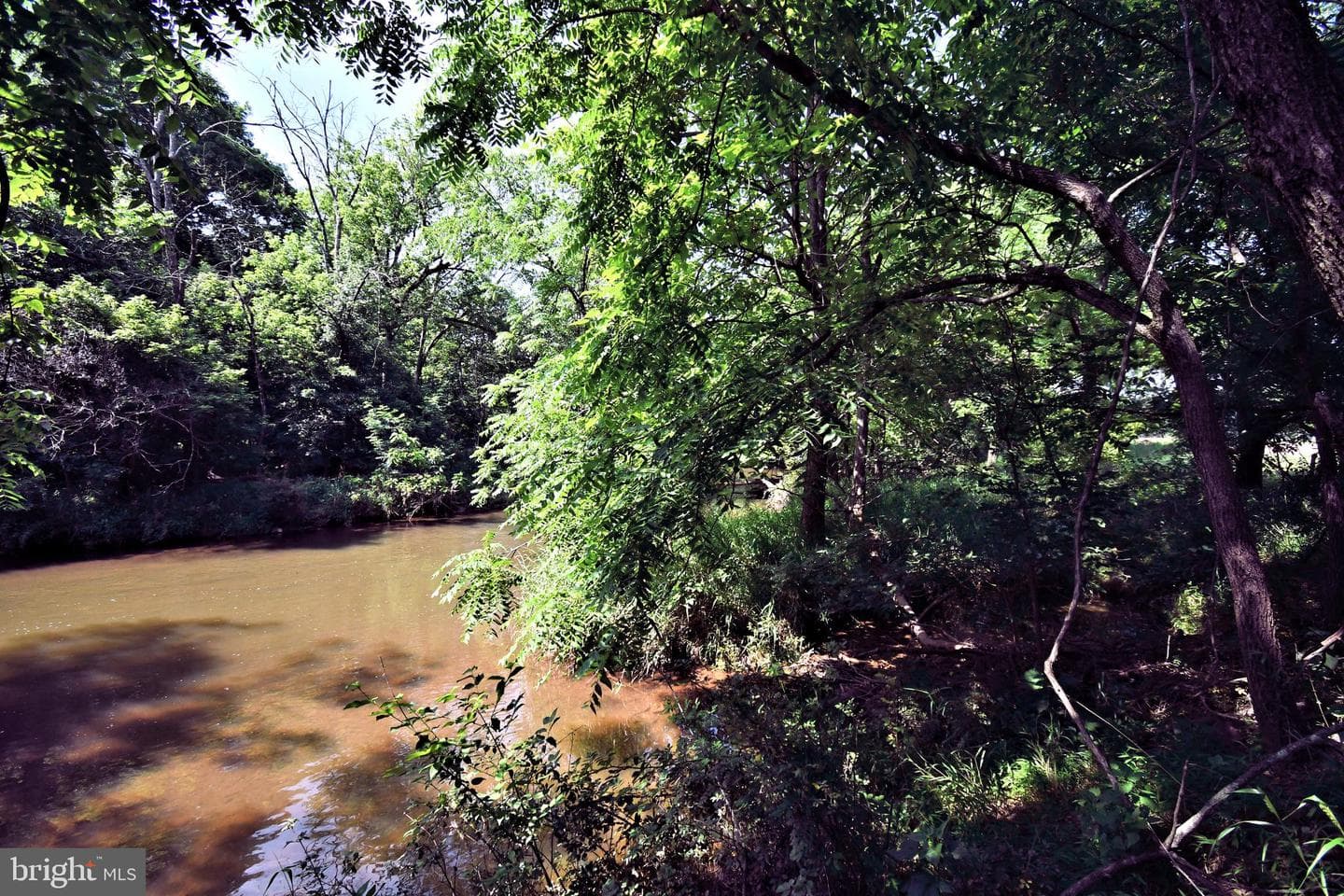 1200 Branch Road photo 63