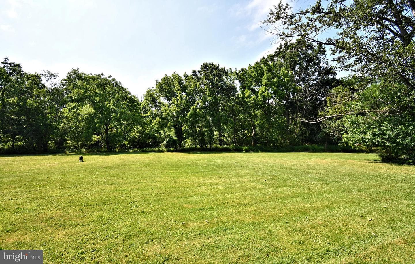 1200 Branch Road photo 92