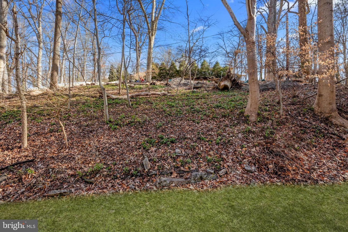 2721 Brownsville Road photo 32